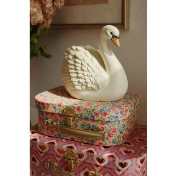 Rahakassa Swan