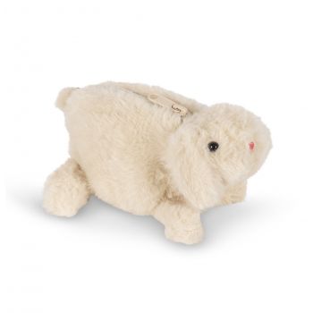 Rahakott Teddy