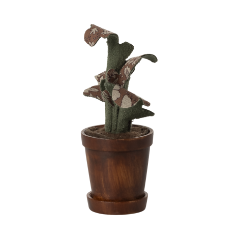 Miniatuurne lillepott taimega