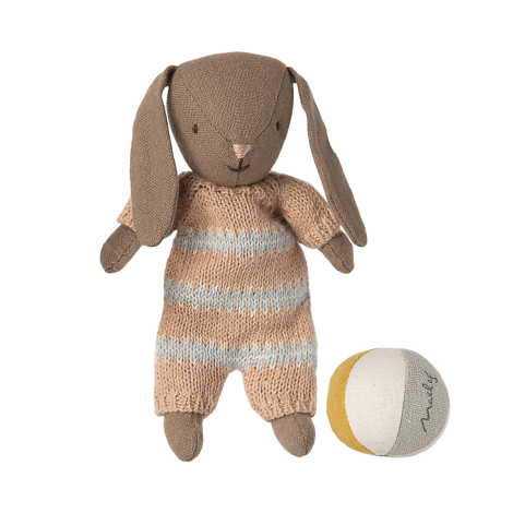 Jänesekomplekt, Micro