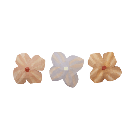 Puidust magnetid Poesie