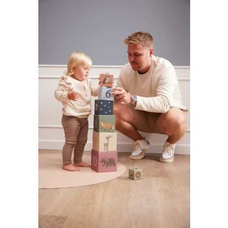 Ladumistorn Filibabba - Forest