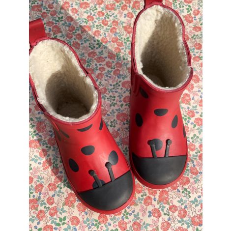 Kummikud Ladybug
