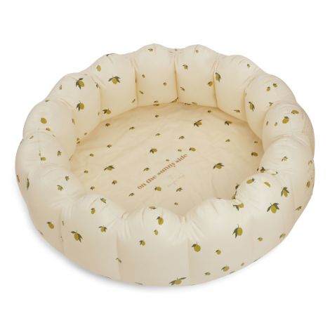 Suur bassein Lemon