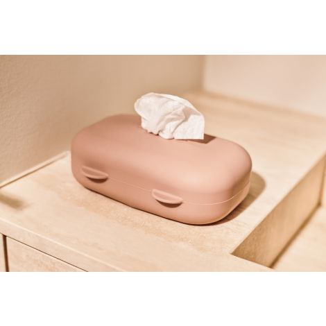 Ümbris niiskete salvrätikute pakile