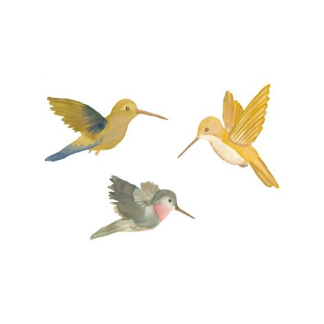 Seinakleebised Hummingbirds