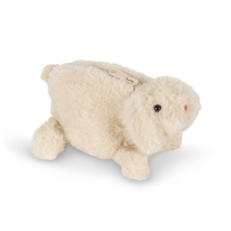 Rahakott Teddy